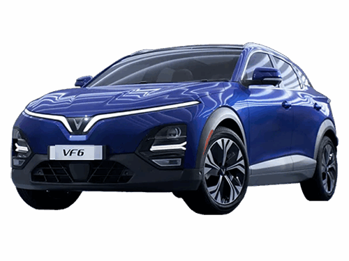 VINFAST VF6 MUA PIN